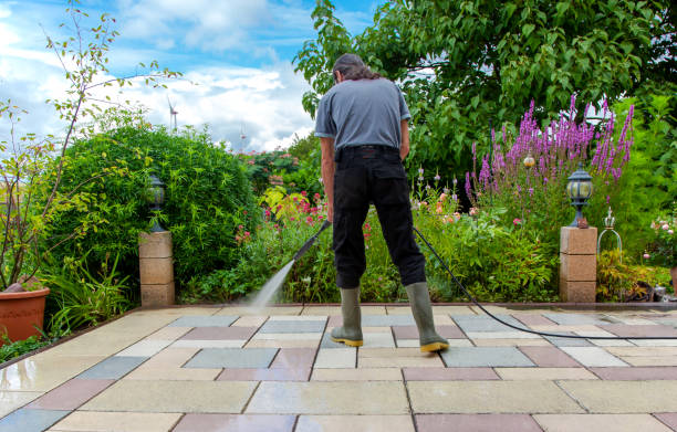 Best Driveway Pressure Washing  in Scissors, TX